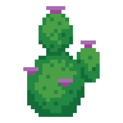 Fototapeta premium pixel cactus