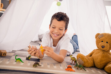 Portrait of charming happy small boy lying floor blanket fort play toys wear white shirt stylish child room interior furniture decoration © deagreez