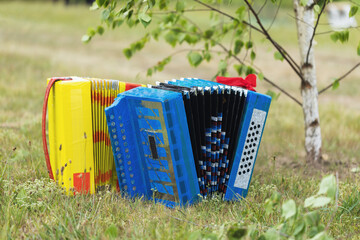 Toy harmonicas on the grass under the birch
