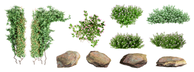 Set of creeper, plant, shrubs, isolated on transparent background