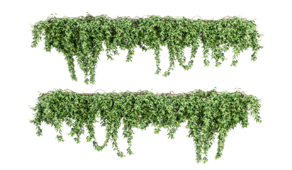 Green creeper isolated on white in 3d rendering	
