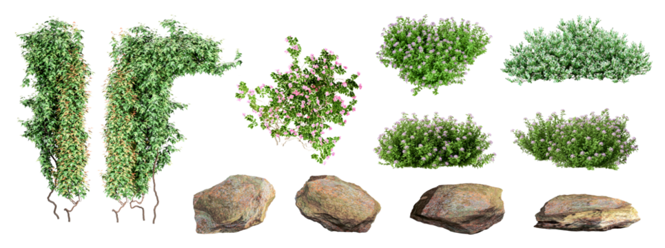 Set of creeper, plant, shrubs, isolated on transparent background