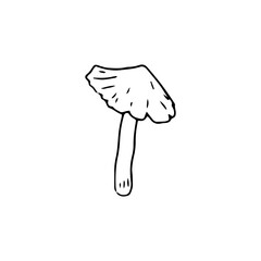 Mushroom, great design for any purposes. Doodle vector illustration. Edible mushrooms and toadstools. Healthy food illustration. Autumn forest plants sketches for textiles, wallpaper, coloring