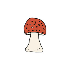 Mushroom, great design for any purposes. Doodle vector illustration. Edible mushrooms and toadstools. Healthy food illustration. Autumn forest plants sketches for textiles, wallpaper, coloring