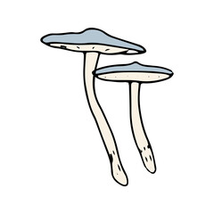Mushroom, great design for any purposes. Doodle vector illustration. Edible mushrooms and toadstools. Healthy food illustration. Autumn forest plants sketches for textiles, wallpaper, coloring