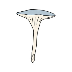 Mushroom, great design for any purposes. Doodle vector illustration. Edible mushrooms and toadstools. Healthy food illustration. Autumn forest plants sketches for textiles, wallpaper, coloring