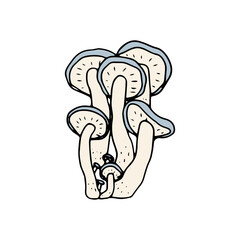 Mushroom, great design for any purposes. Doodle vector illustration. Edible mushrooms and toadstools. Healthy food illustration. Autumn forest plants sketches for textiles, wallpaper, coloring