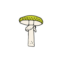 Mushroom, great design for any purposes. Doodle vector illustration. Edible mushrooms and toadstools. Healthy food illustration. Autumn forest plants sketches for textiles, wallpaper, coloring