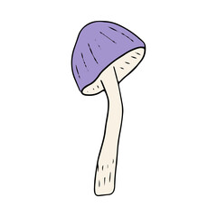 Mushroom, great design for any purposes. Doodle vector illustration. Edible mushrooms and toadstools. Healthy food illustration. Autumn forest plants sketches for textiles, wallpaper, coloring