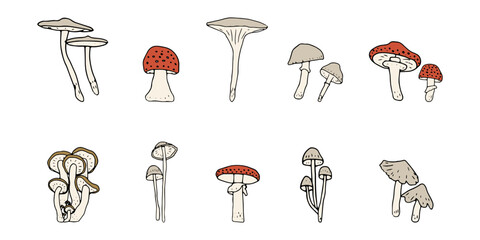 Mushroom, great design for any purposes. Doodle vector illustration. Edible mushrooms and toadstools. Healthy food illustration. Autumn forest plants sketches for textiles, wallpaper, coloring