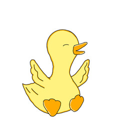 Duck