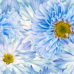 Obraz premium Seamless floral background. Flowers chrysanthemums and petals peonies. Close up.