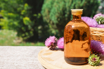 Burdock oil in glass bottle and burdock flowers. Small glass bottle of burdock tincture(water infusion, extract, perfume). Burdock essential oil. Side view, copy space for text, product place.