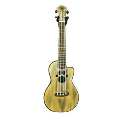 Fototapeta premium Thai mango wood custom ukulele