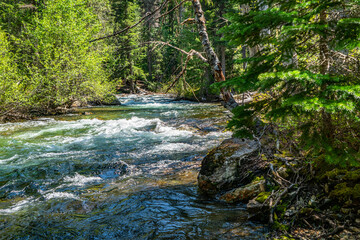 Fototapeta premium Chinook Pass Clear Stream 8