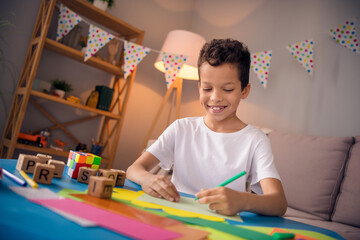Portrait of nice cheerful cute little boy drawing doing homework smile wearing white shirt in light...