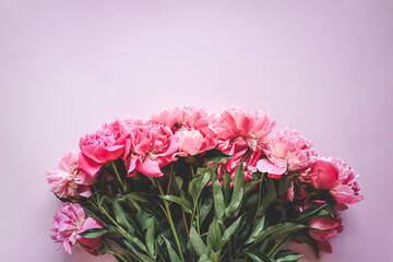 Beautiful pink peony flowers on a pink background with copy space for your text top view and flat lay style