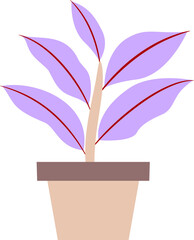 illustration of a plant in a pot. plants with colored leaves