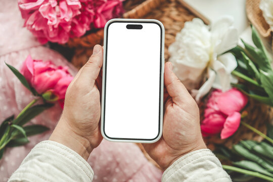 Mobile phone and spring flower pink peonies on the pink background. Theme of love, mother's day, women's day flat lay