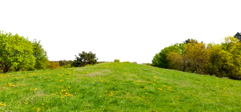 Green landscape with trees, green grass and flowers isolated on transparent white background