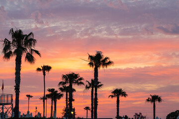 Aegian sea sunrise behind palm tree silhouettes at Kallithea, Greece