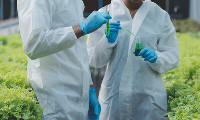 Female scientist examining a plants in greenhouse farm. scientists holding equipment for research plant in organic farm. Quality control for hydroponics vegetable farm.