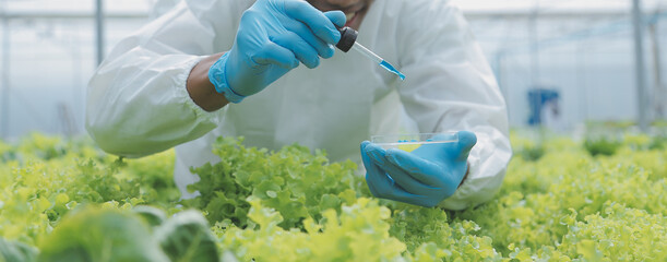 Female scientist examining a plants in greenhouse farm. scientists holding equipment for research...
