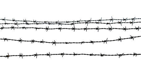 Barbed wire on transparent png - obrazy, fototapety, plakaty
