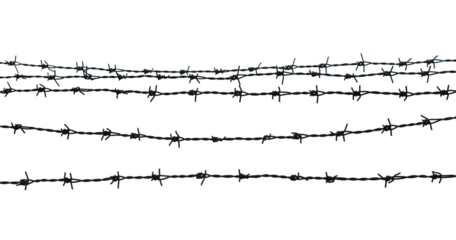 Fototapete Camping Barbed wire on transparent png