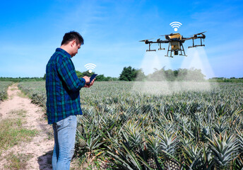 Controlling a drone via AI in a mobile phone to spray fertilizer in a vast pineapple orchard. The...