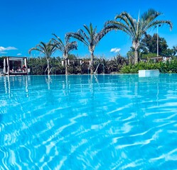 Pool and palm tree view