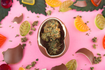 Chocolate egg with dry buds of medical marijuana inside on a pink background.  Surrounded by...
