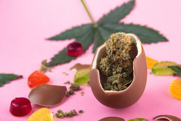 Chocolate egg with dry buds of medical marijuana inside on a pink background.  Surrounded by...