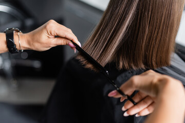 close up of hairdresser cutting short brunette hair of female client, beauty worker, haircut, salon...