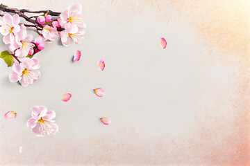 blossom background,background with sakura,framework for photo or congratulation with flowers