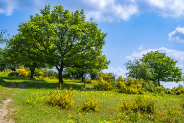 Hike on the Wisper Trail near Lorchhausen - Germany in the Rheingau