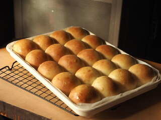 dinner bread rolls in baking tray
