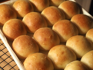 golden brown baked dinner bread rolls