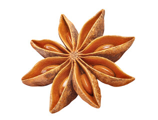 Single star anise cut out