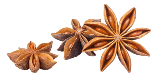Delicious star anise spice cut out