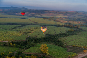 Hot air ballons in the sky
