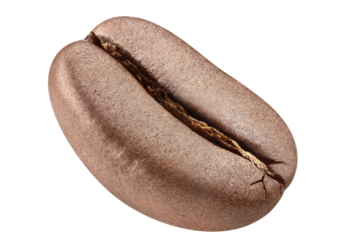 Delicious coffee bean cut out