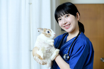 兎の診療をする女性の獣医

