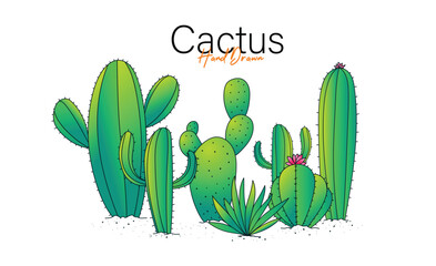 Cactuses and succulents  illustration for background design
