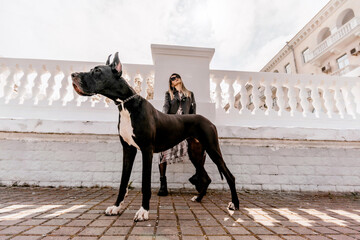 A woman walks with her Great Dane in an urban setting, enjoying the outdoors and the company of her...