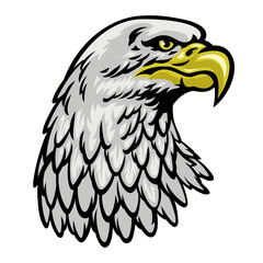Fototapeta premium Head of Bald Eagle in Hand Drawn Style