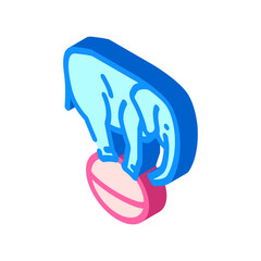 elephant carnival vintage show isometric icon vector. elephant carnival vintage show sign. isolated symbol illustration