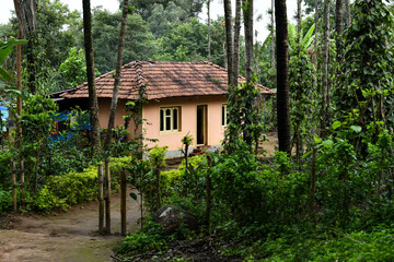 Fototapeta na wymiar A beautiful view of the farmer's small house in the tropical jungle