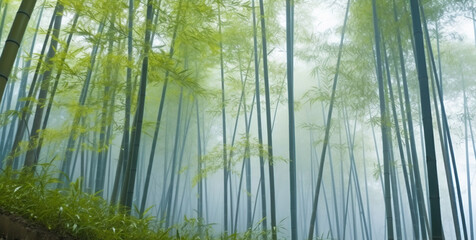 Bamboo forest in mist, natural background, Generative AI