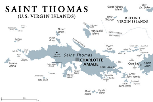 Saint Thomas, United States Virgin Islands, gray political map. One of the three largest islands of the USVI. The territorial capital and port of Charlotte Amalie is also located on the island. Vector